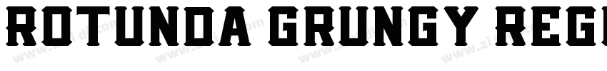 Rotunda grungy Regul字体转换